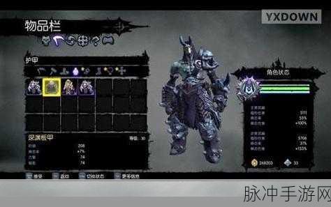 PS3暗黑血统2苦难竞技场深度攻略与问题解析