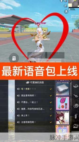 和平精英雨伞飞行器获取全攻略，解锁你的空中炫彩之旅