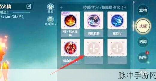 魔力宝贝，旅人宠物改造秘籍大公开