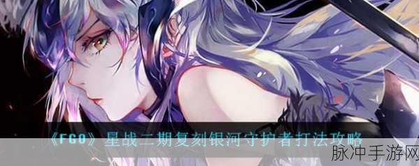 FGO星战二期高难本银河守护者配置全解析