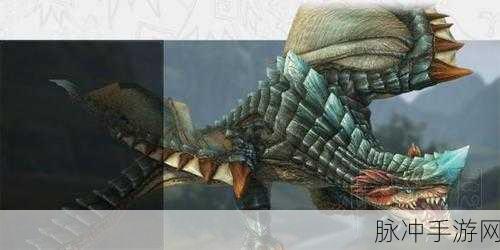 怪物猎人OL深度解析，飞龙猎人身份与狩猎策略