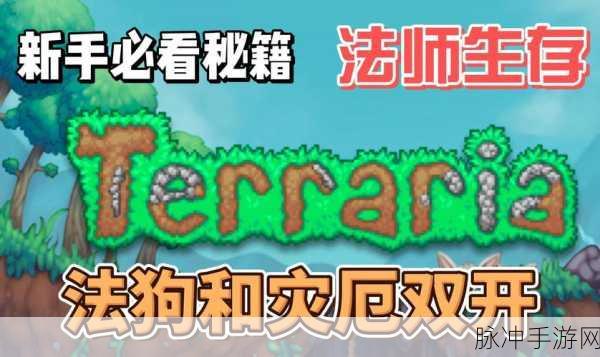 泰拉瑞亚房间码的探寻秘籍