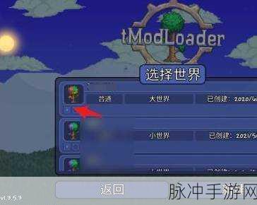 泰拉瑞亚房间码的探寻秘籍