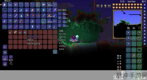 泰拉瑞亚手游攻略，揭秘各种匣子中的宝藏