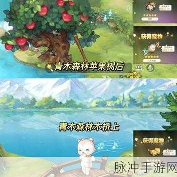 凌云诺宠物捕捉全攻略，地点与获取方法详解