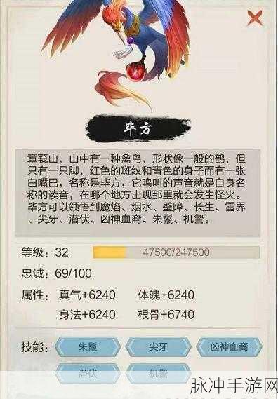 玄元剑仙，龙珠获取秘籍大公开