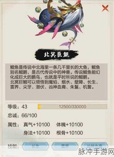 玄元剑仙，龙珠获取秘籍大公开