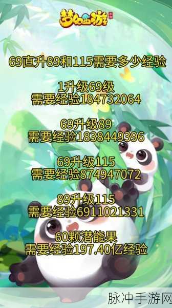 梦幻西游手游69级宠物推荐，打造你的战斗伙伴