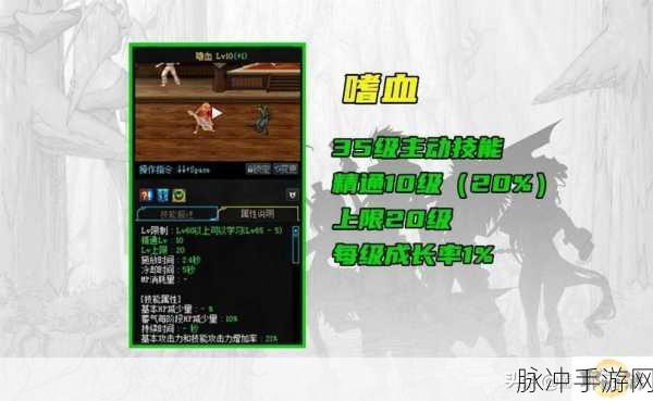 DNF手游攻略，深度解析嗜血套与厄运套在当前版本的优劣