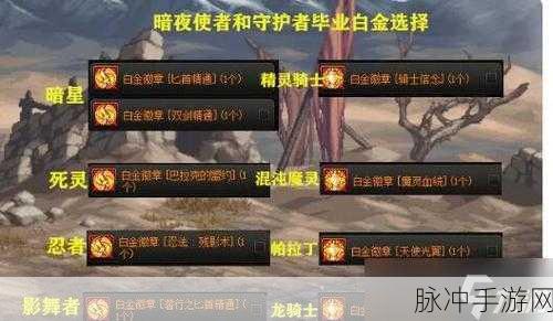 DNF手游剑宗白金徽章选择攻略，打造顶尖剑宗角色