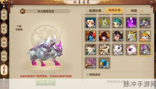 天龙八部江湖驰骋秘籍，全方位解锁与培养顶级坐骑策略