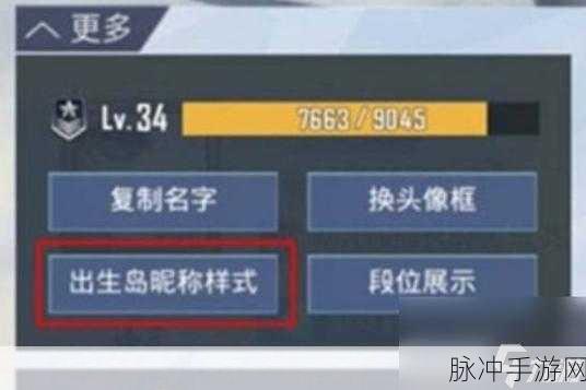 和平精英2024最新版，全面解析如何修改ID昵称