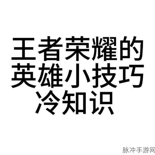 王者荣耀，深度揭秘高级知识与实用小技巧