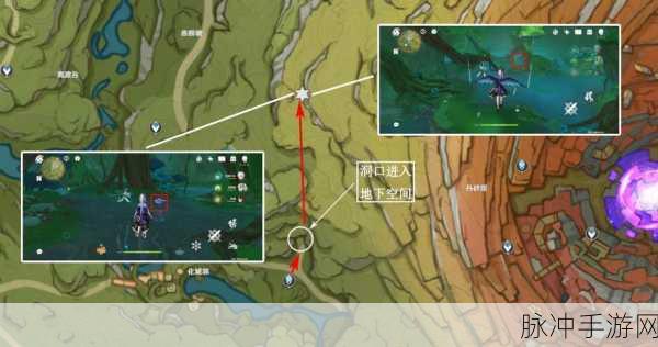 原神树王圣体菇采集全攻略，位置一览与高效采集路线