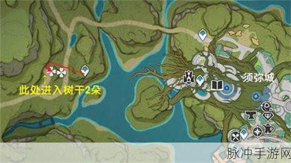 原神树王圣体菇采集全攻略，位置一览与高效采集路线