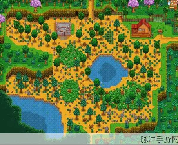 星露谷物语地图全解析，农场、沙漠与城镇的秘密