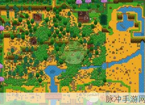 星露谷物语地图全解析，农场、沙漠与城镇的秘密