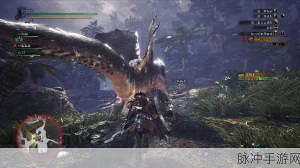 怪物猎人世界，深度解析捕获怪物技巧与策略