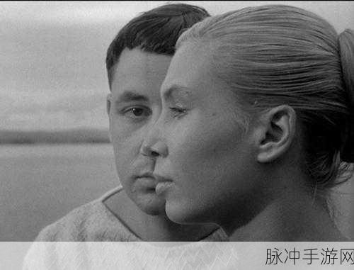 世界弹射物语，MSR 涅维亚抽取价值深度剖析