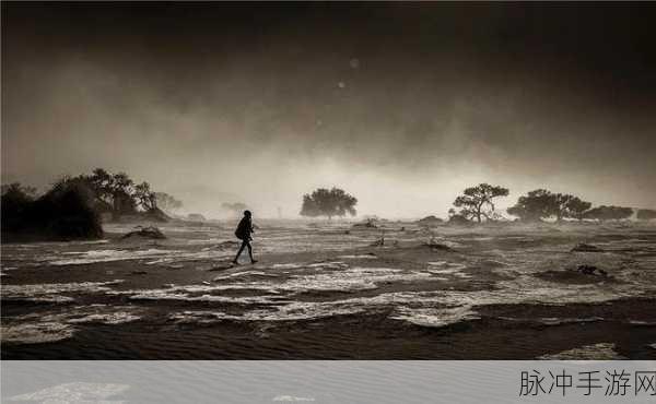 古荒遗迹装备强化深度攻略，打造你的无敌战甲