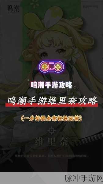 鸣潮瞬斩刀18型90面板详解，手游攻略数据大揭秘