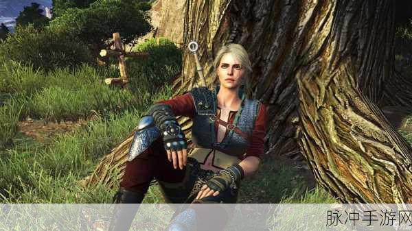 巫师3，狂猎手游版反应过度奖杯达成技巧全攻略