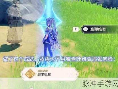 原神追求极致成就全攻略，解锁极致荣耀的秘诀