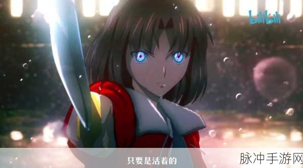 FGO 空之境界通关秘籍，最佳路线顺序全解析