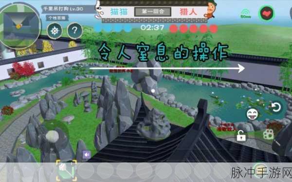 创造与魔法，园林躲猫猫深度玩法指南