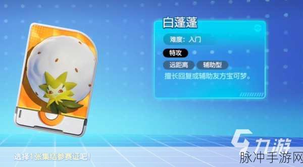 宝可梦大集结内存与配置需求全解析，打造极致游戏体验