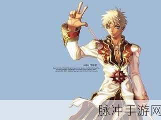 仙境传说RO手游，精研牧师角色成长，全方位素质点优化分配策略指南