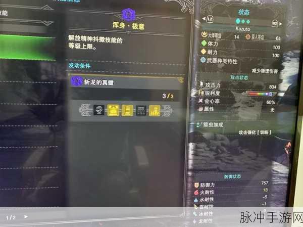 怪物猎人世界操虫棍配装与珠子的深度剖析