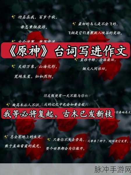 原神中的团结之光，作文素材与深度解析