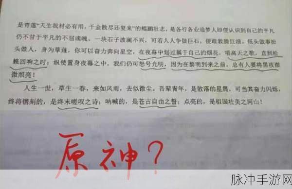 原神中的团结之光，作文素材与深度解析