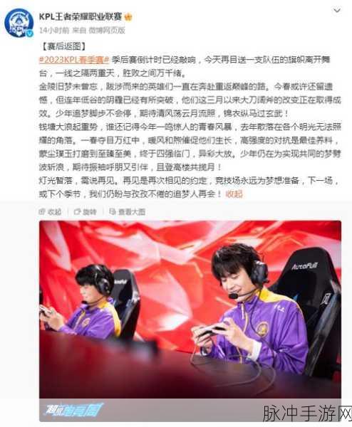 王者荣耀巅峰对决深度解析，一场技术与策略的终极较量