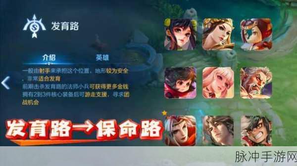 王者荣耀新版本更新深度解析，发育路经济与经济分配策略