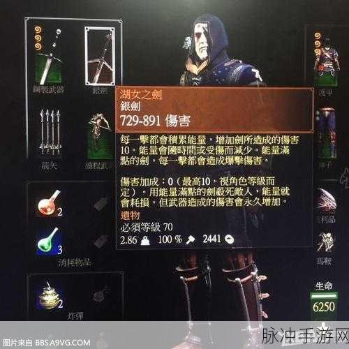 巫师3，狂猎手游攻略，揭秘那些容易错过的奖杯