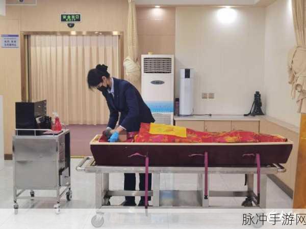 太空行动深度攻略，揭秘入殓师身份基本信息