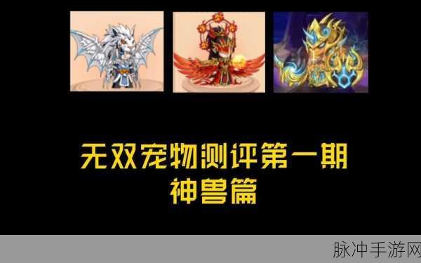 造梦无双宠物强度排行全解析