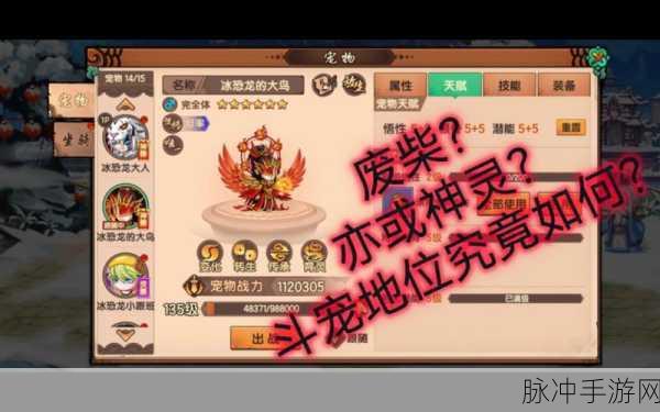 造梦无双宠物强度排行全解析