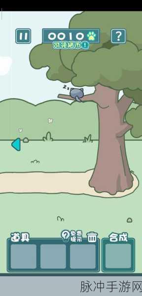 天天躲猫猫2南山公园第10关图文攻略，轻松解锁猫咪的欢乐时刻