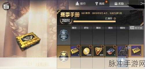 和平精英手册，满级秘籍大公开