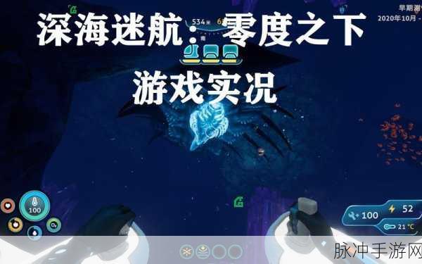 深海迷航零度之下，探寻银矿的神秘之旅