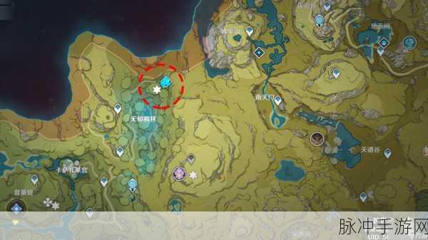 原神伞盖的荫蔽解锁全攻略，探索须弥深处的神秘秘境