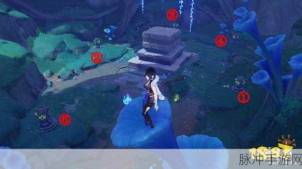 原神伞盖的荫蔽解锁全攻略，探索须弥深处的神秘秘境