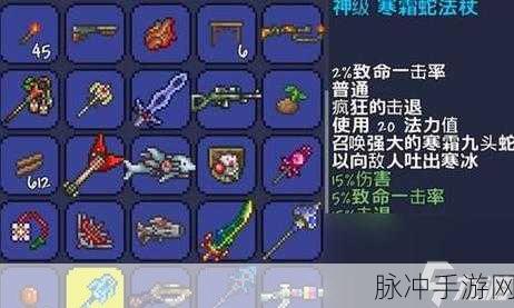 泰拉瑞亚手游召唤师套装全解析