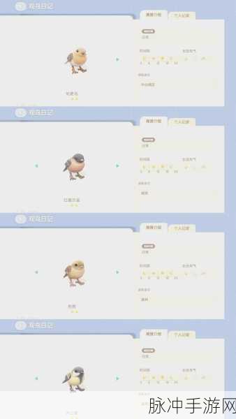 心动小镇探险指南，帕蒂林间星辉任务详细攻略