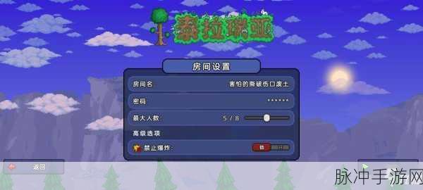 泰拉瑞亚游戏攻略，详解如何查看与使用房间码