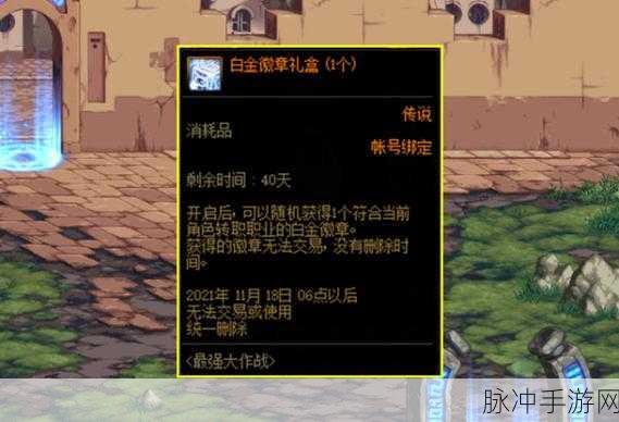 DNF2025女气功白金徽章选择全攻略