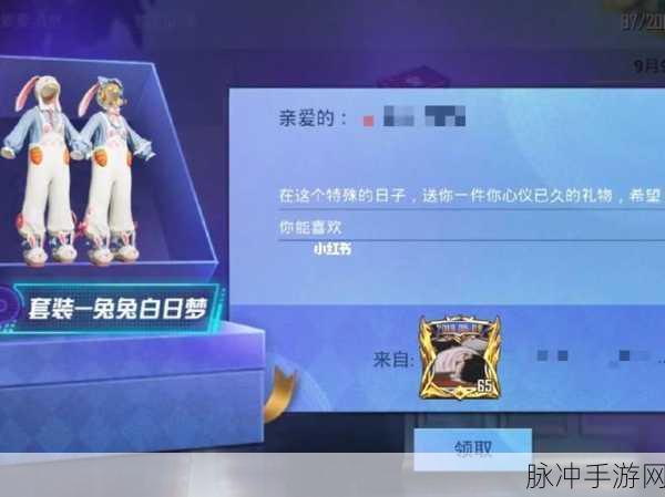 和平精英深度攻略，冠军兔兔祈愿保底价格与武器装备详解